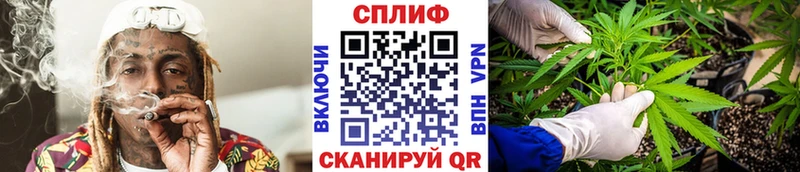 где купить   Приволжский  Бошки Шишки Bruce Banner 